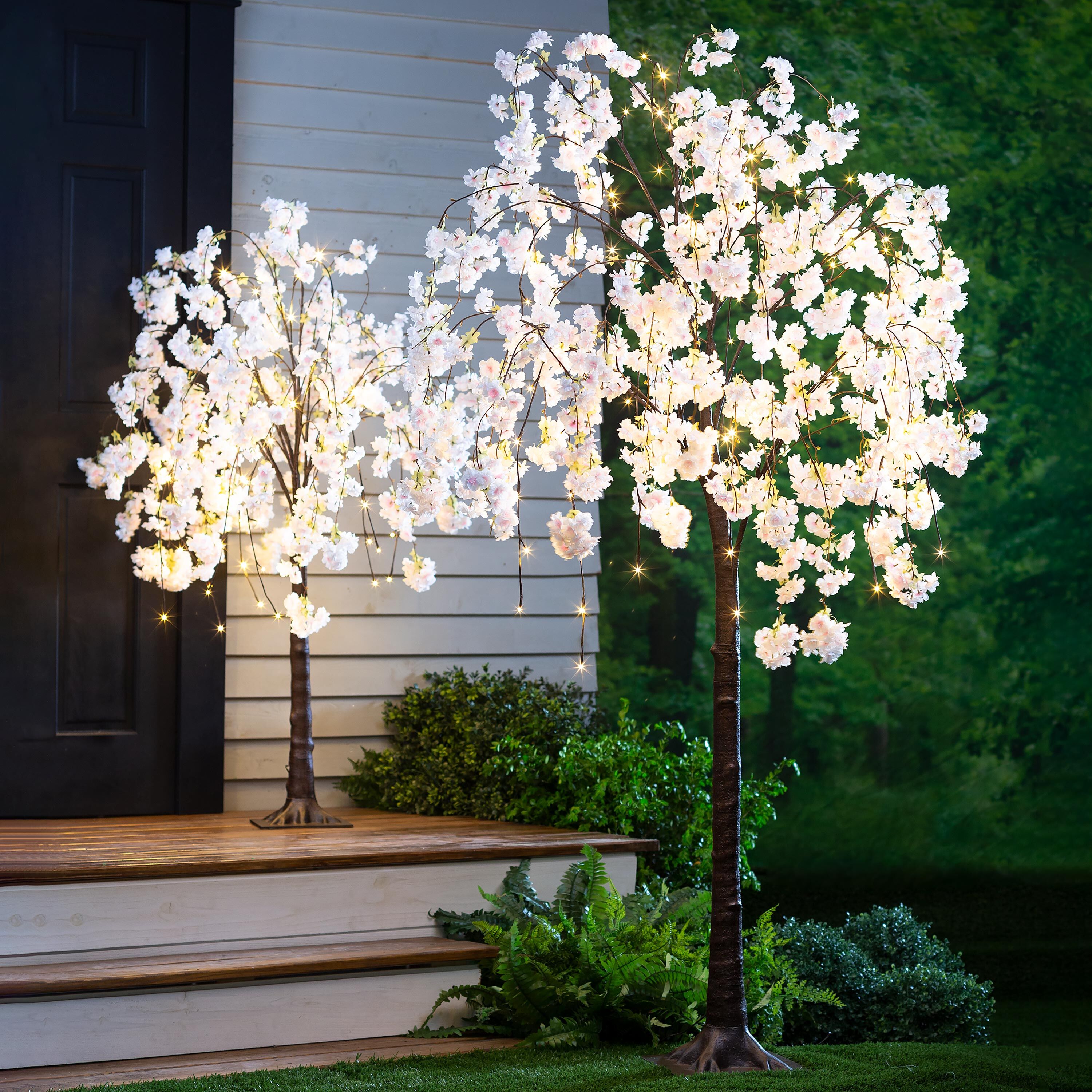 Plow & Hearth Weeping Cherry Tree - Thumbnail 2