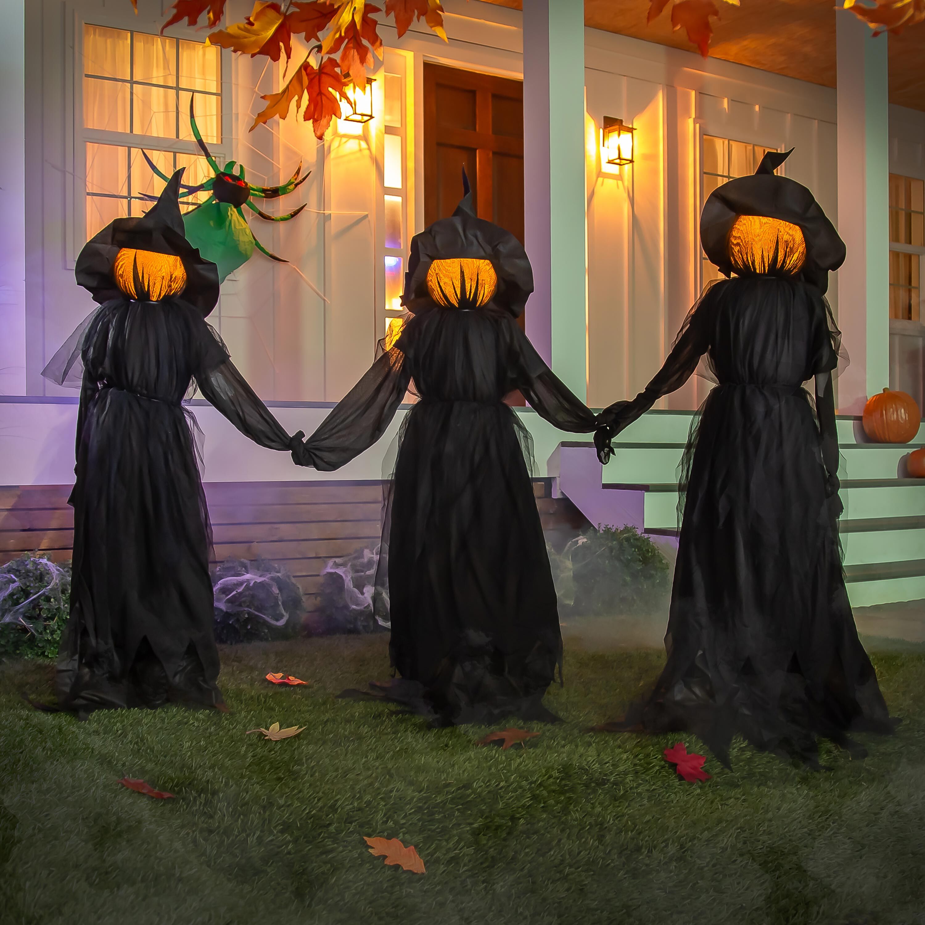 Plow & Hearth Halloween Witch Stakes