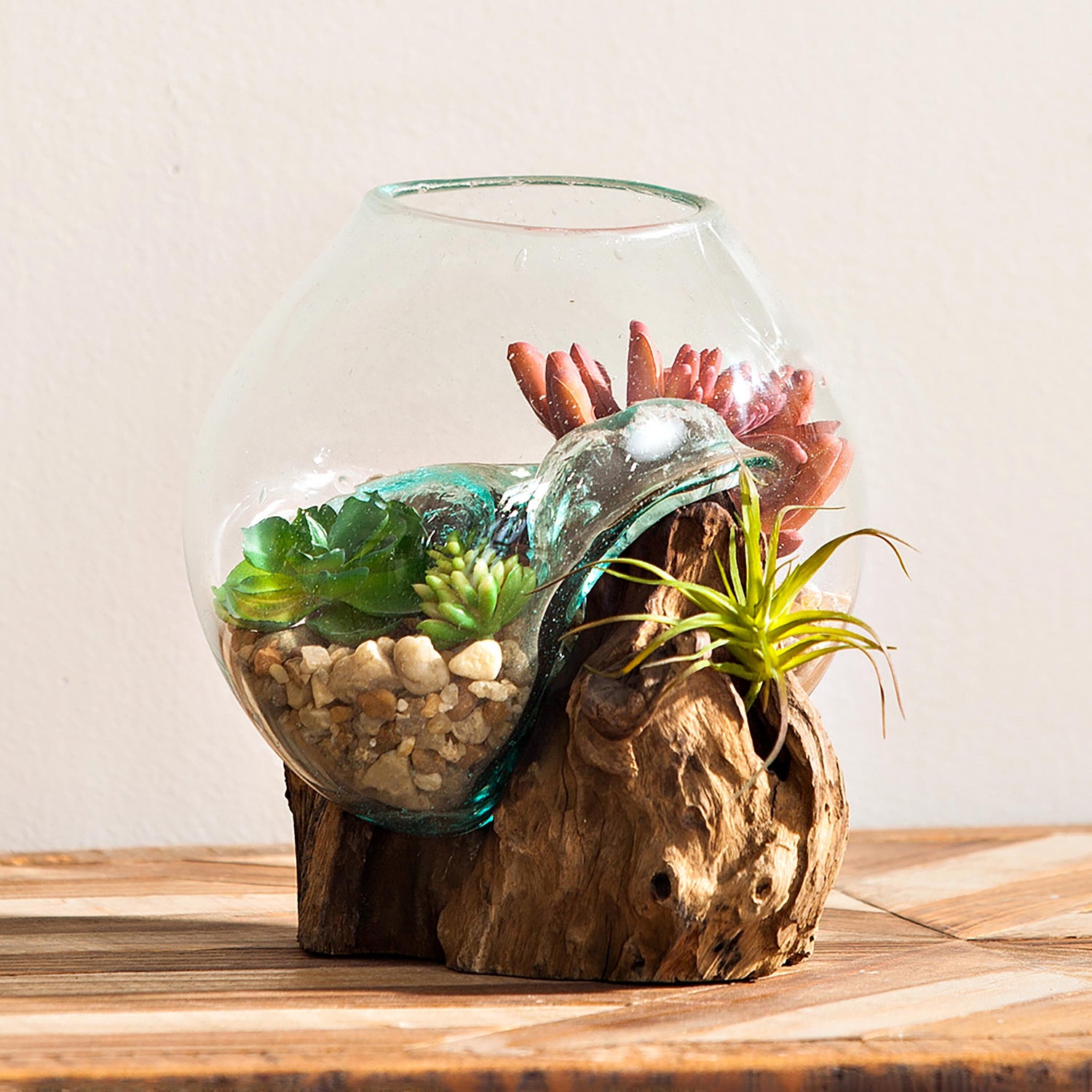 terrarium glass planter Small Glass Planter on Driftwood