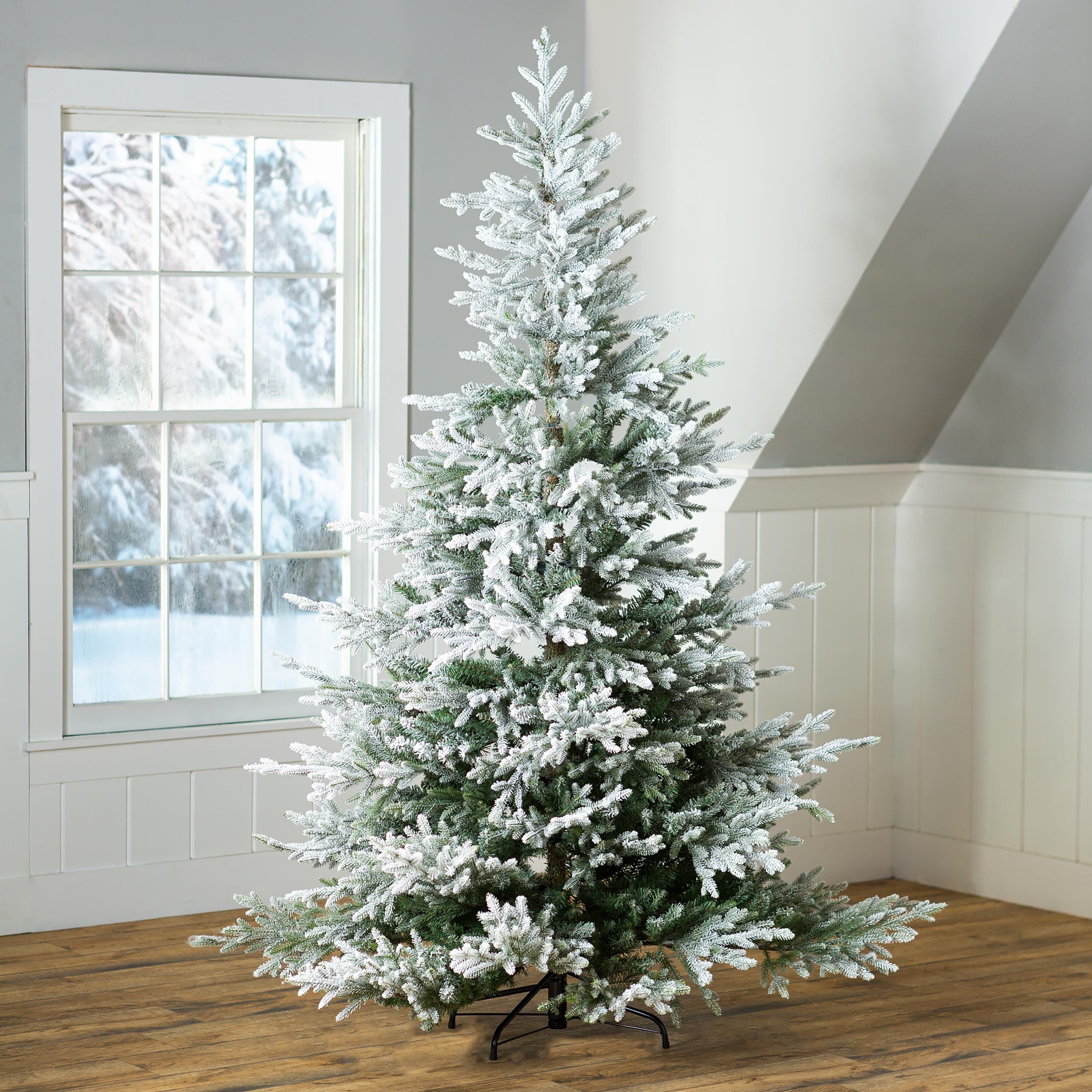 Flocked Roanoke Spruce Christmas Tree – Plow & Hearth