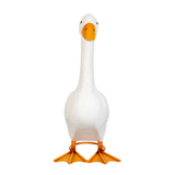 https://asset.productmarketingcloud.com/api/assetstorage/3909_48acc70a-13b6-4754-a06d-cd7cb33f6a09