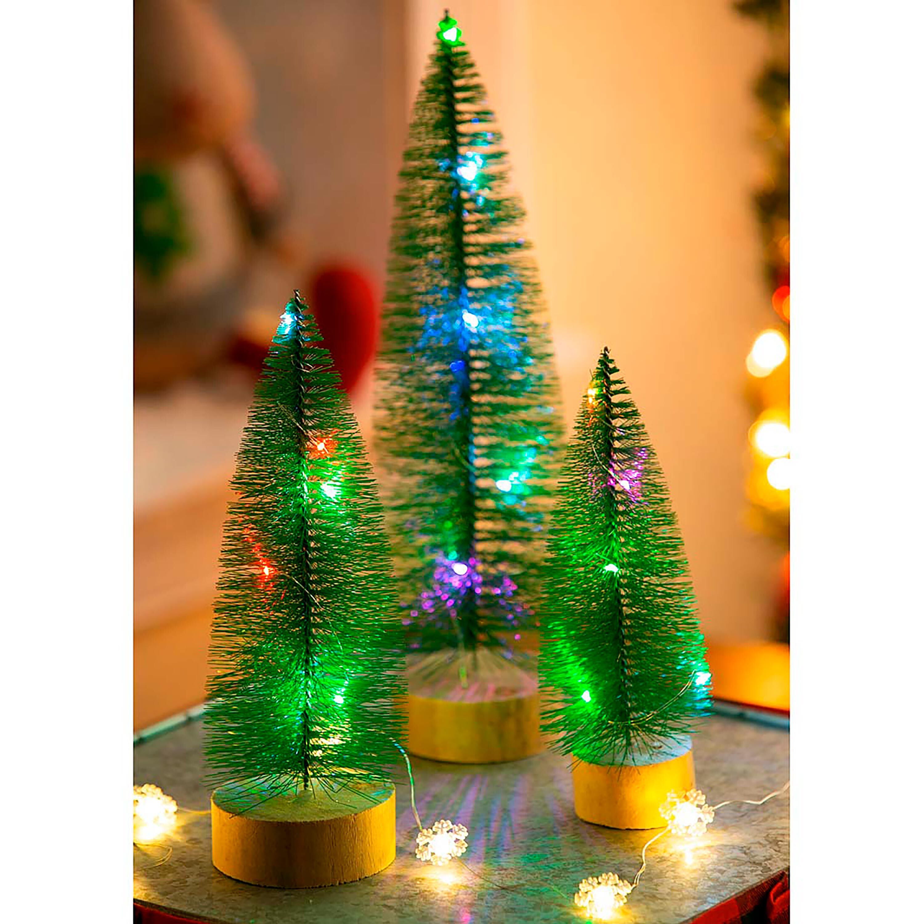 Evergreen Bottle Brush Trees - Thumbnail 3