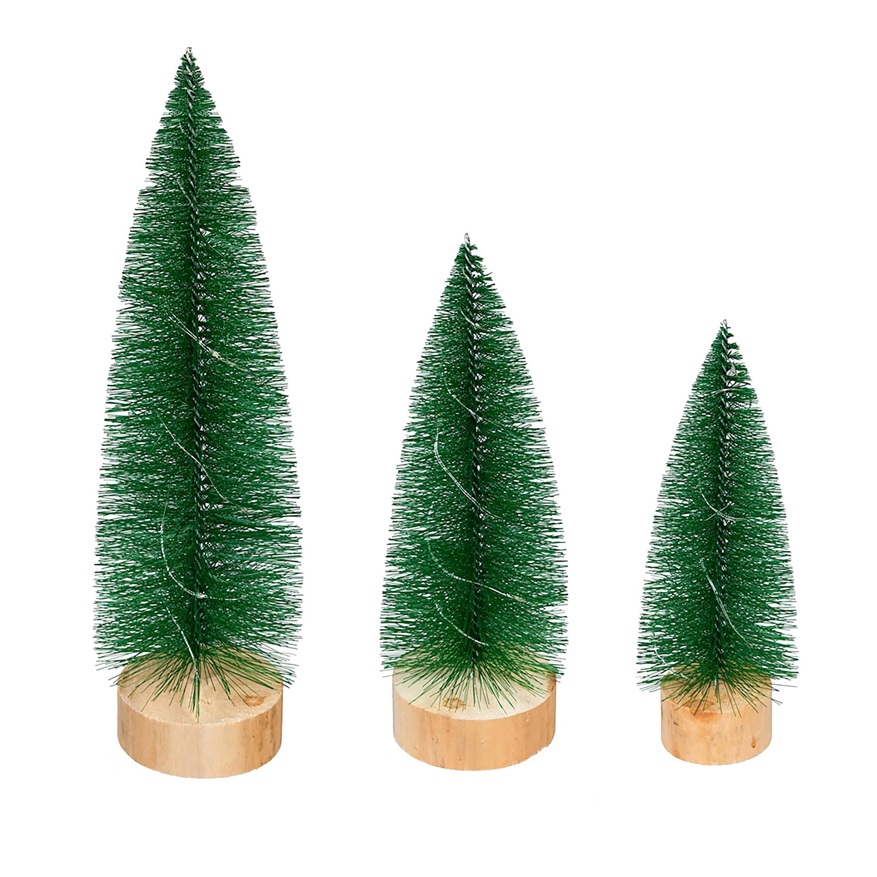 Evergreen Bottle Brush Trees - Thumbnail 2