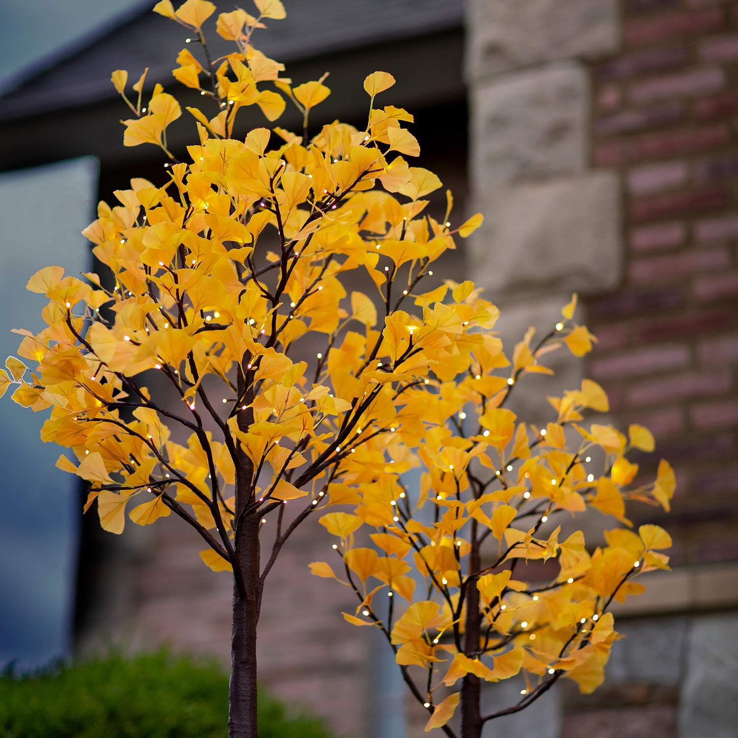 ginkgo indoor plant Indoor/ Outdoor Faux-Lighted Ginkgo Tree, 4'H