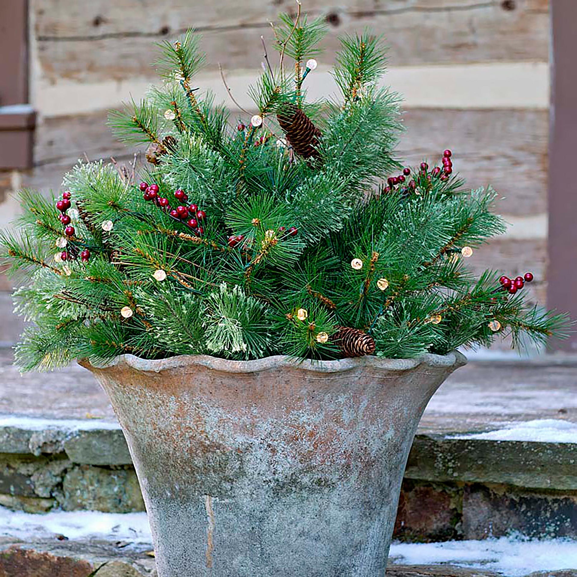 filler for large potted plants Lighted Urn Filler | Holiday Greenery