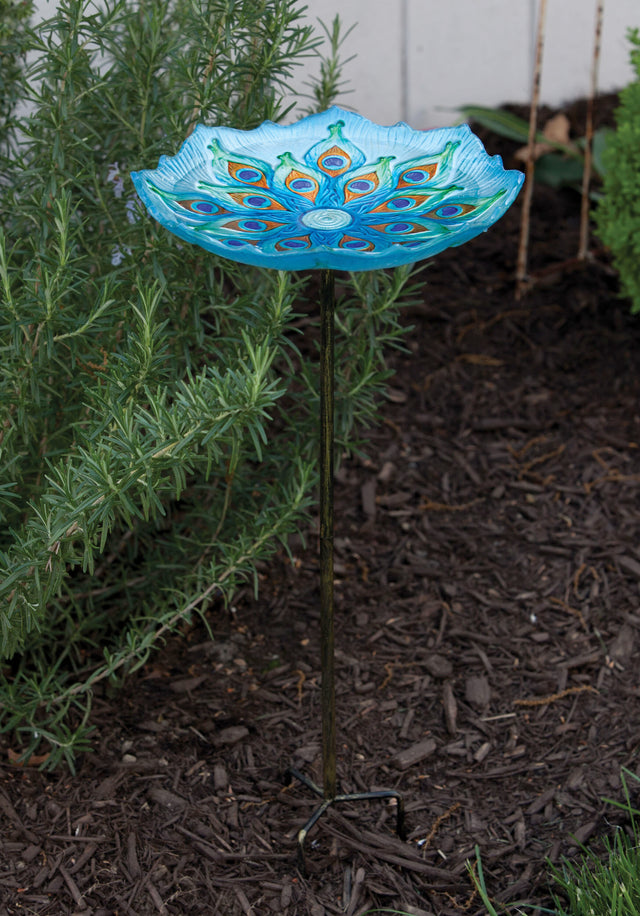 https://asset.productmarketingcloud.com/api/assetstorage/3909_b0a78c2a-df41-4c32-b1a1-4d0da82d74ac