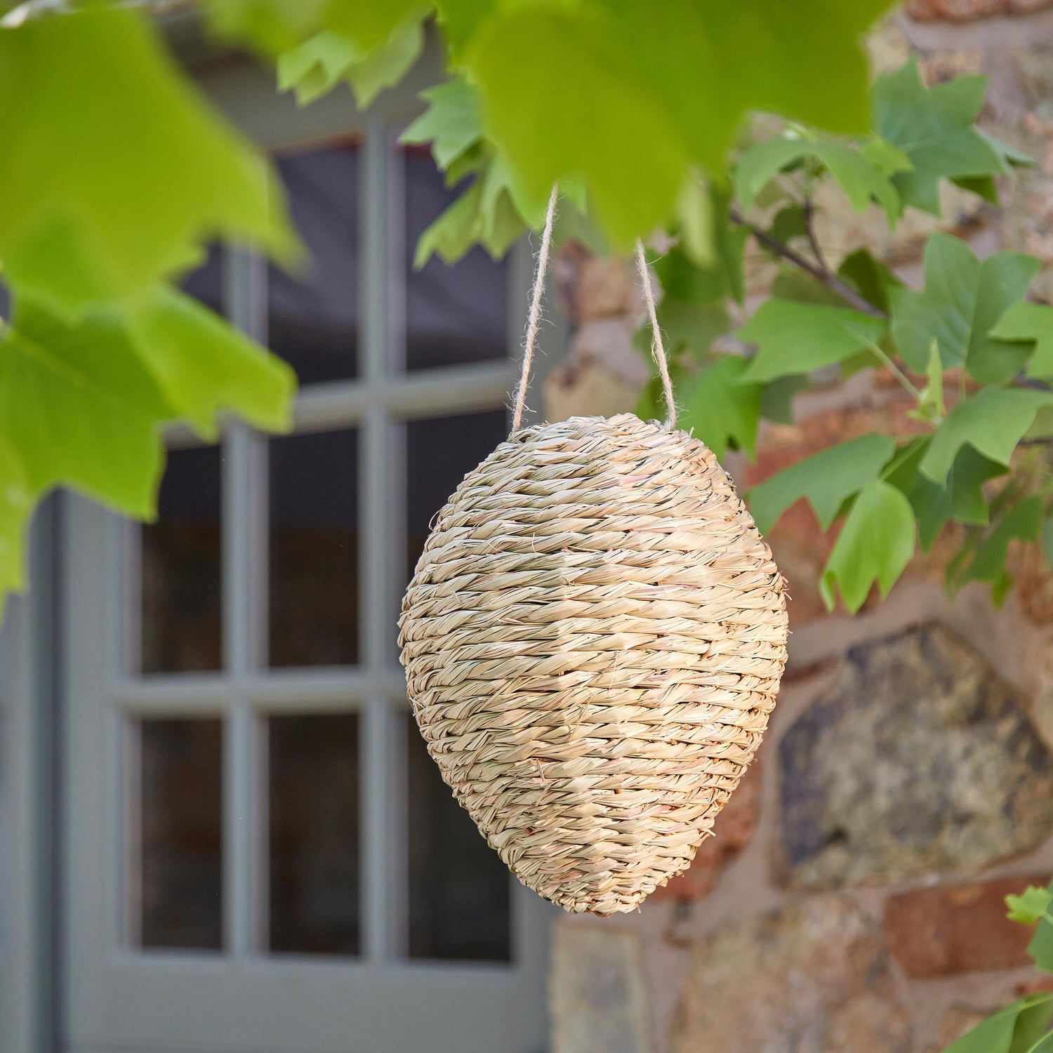 hanging plants that repel wasps Evergreen 10" Wasp Deterrent Woven