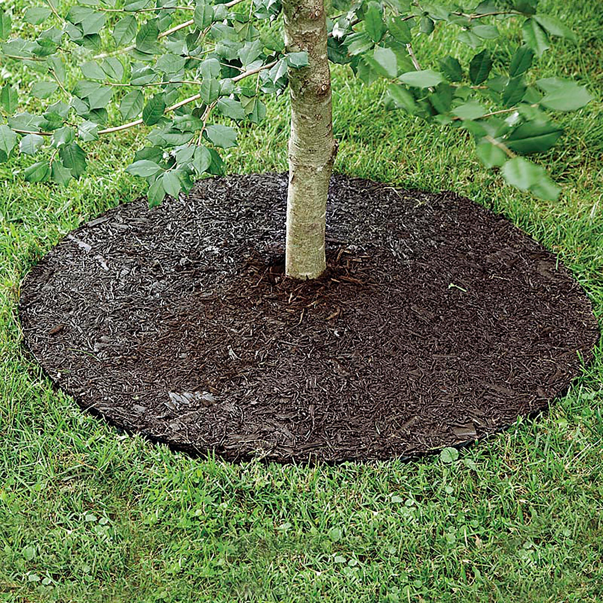 36 rubber tree ring Plow & Hearth Permanent Mulch Recycled Rubber Tree Ring, 36" dia