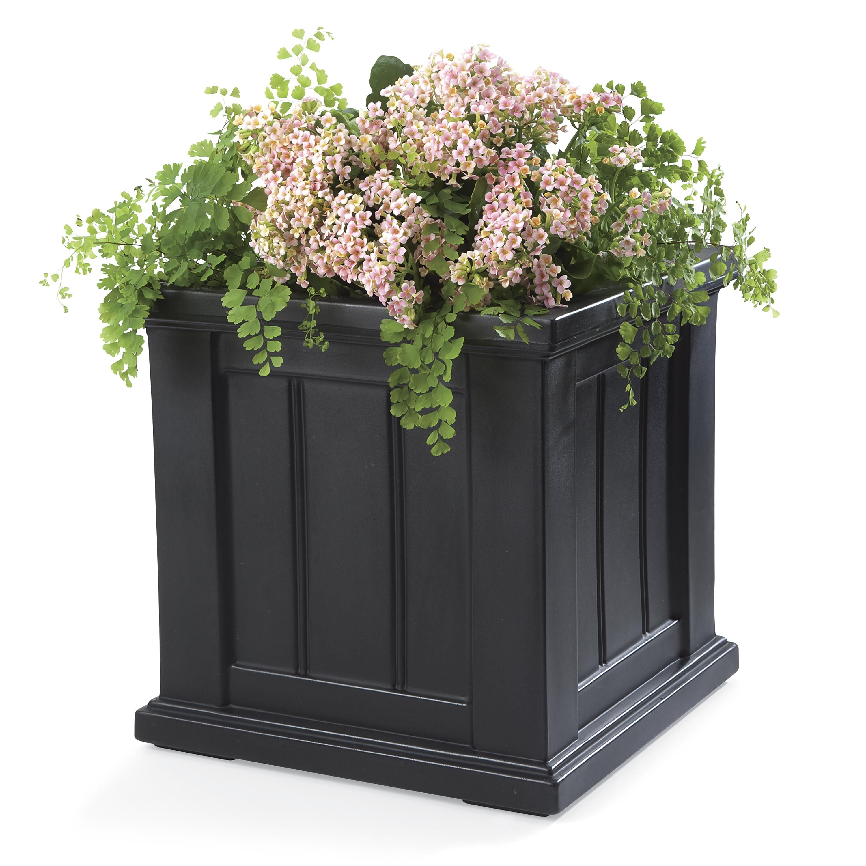 Evergreen Lexington Planter