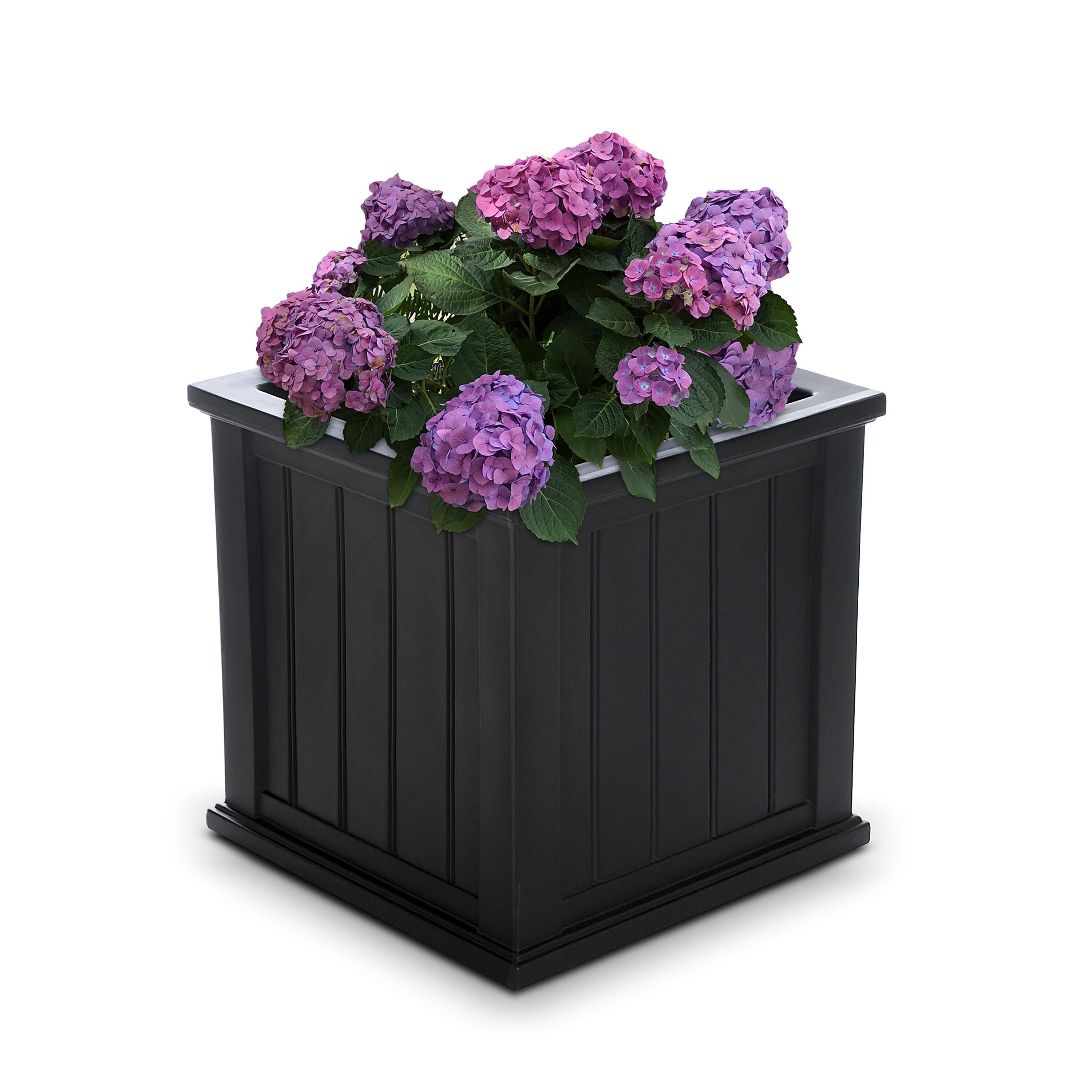 Evergreen Lexington Planter