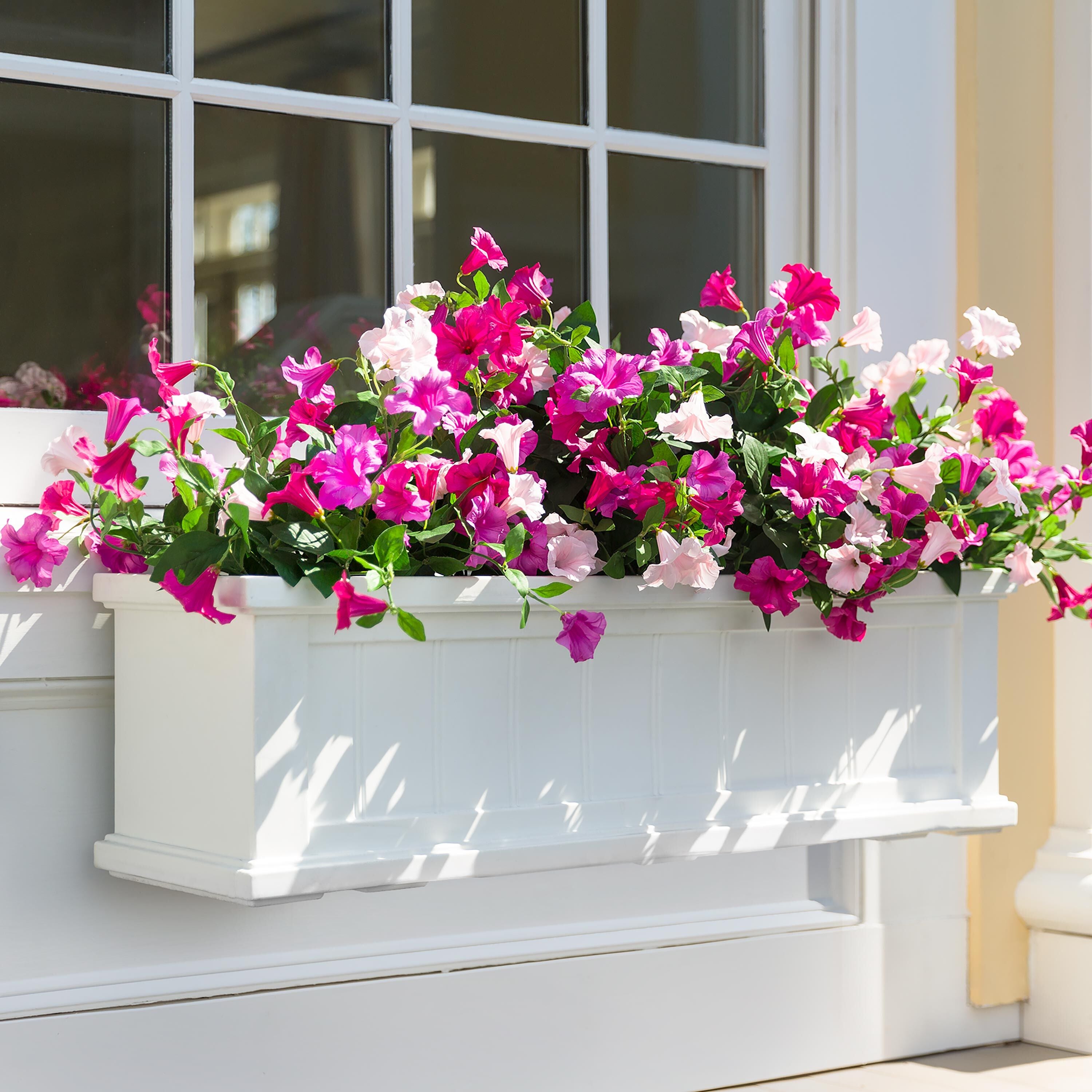 Faux Petunias Window Box Filler – Plow & Hearth