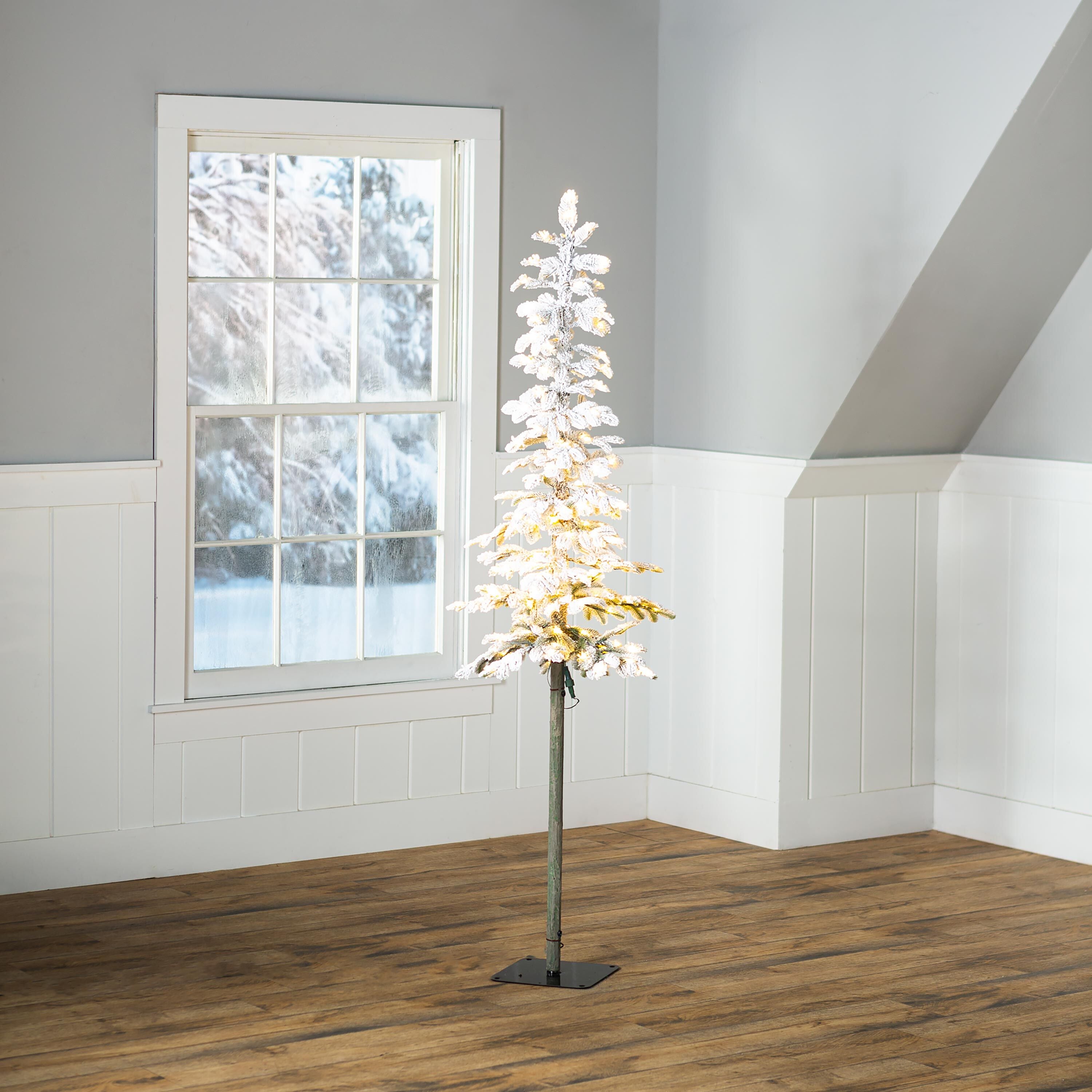 6' Monte Rosa Flocked Alpine Fir Christmas Tree with 150 Warm