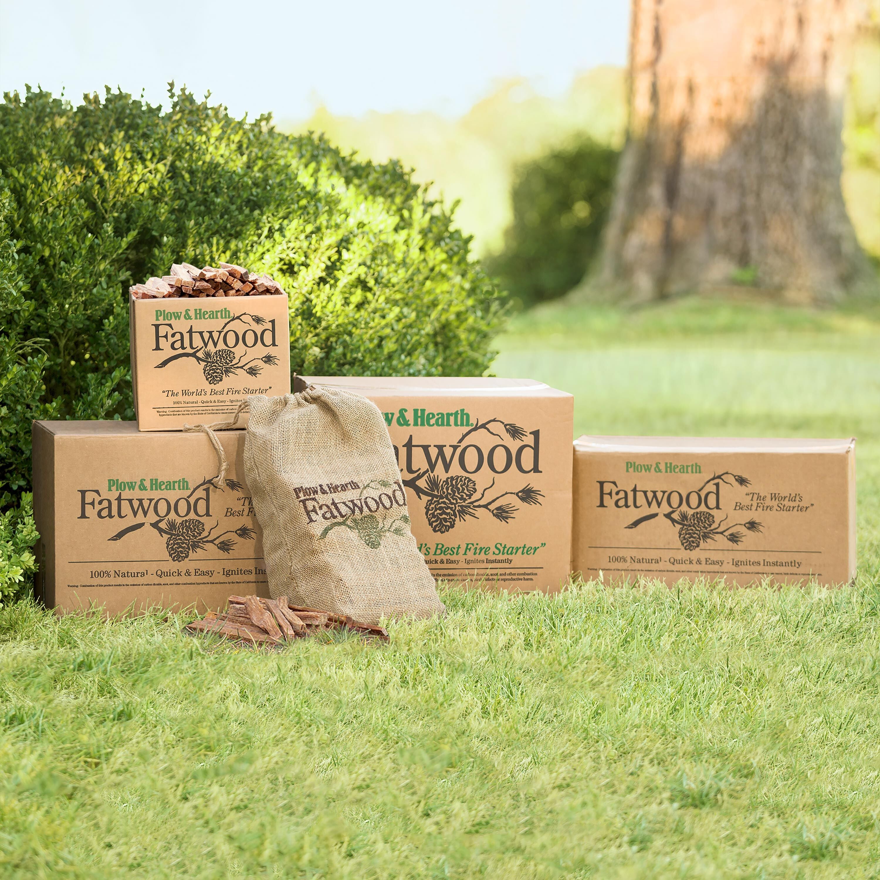 FAT×STARTER BLACK LABEL STARHALF Fatwood Fire-Starter, 40 lb. Box | Plow & Hearth