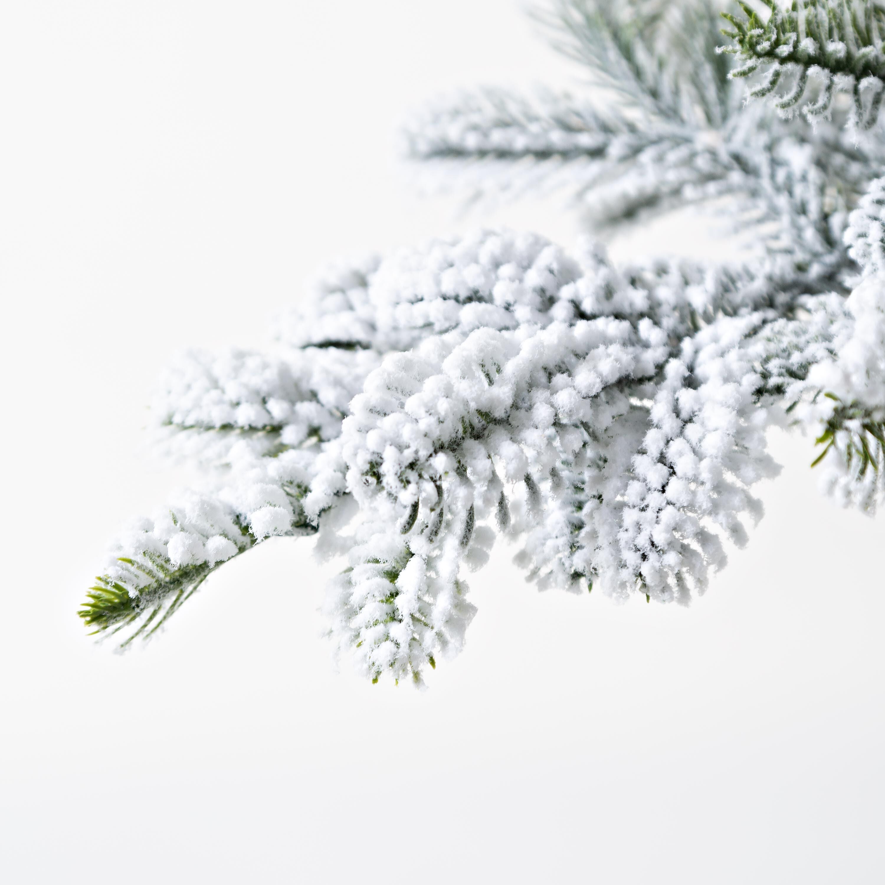 7' Monte Rosa Flocked Alpine Fir Christmas Tree with 200 Warm