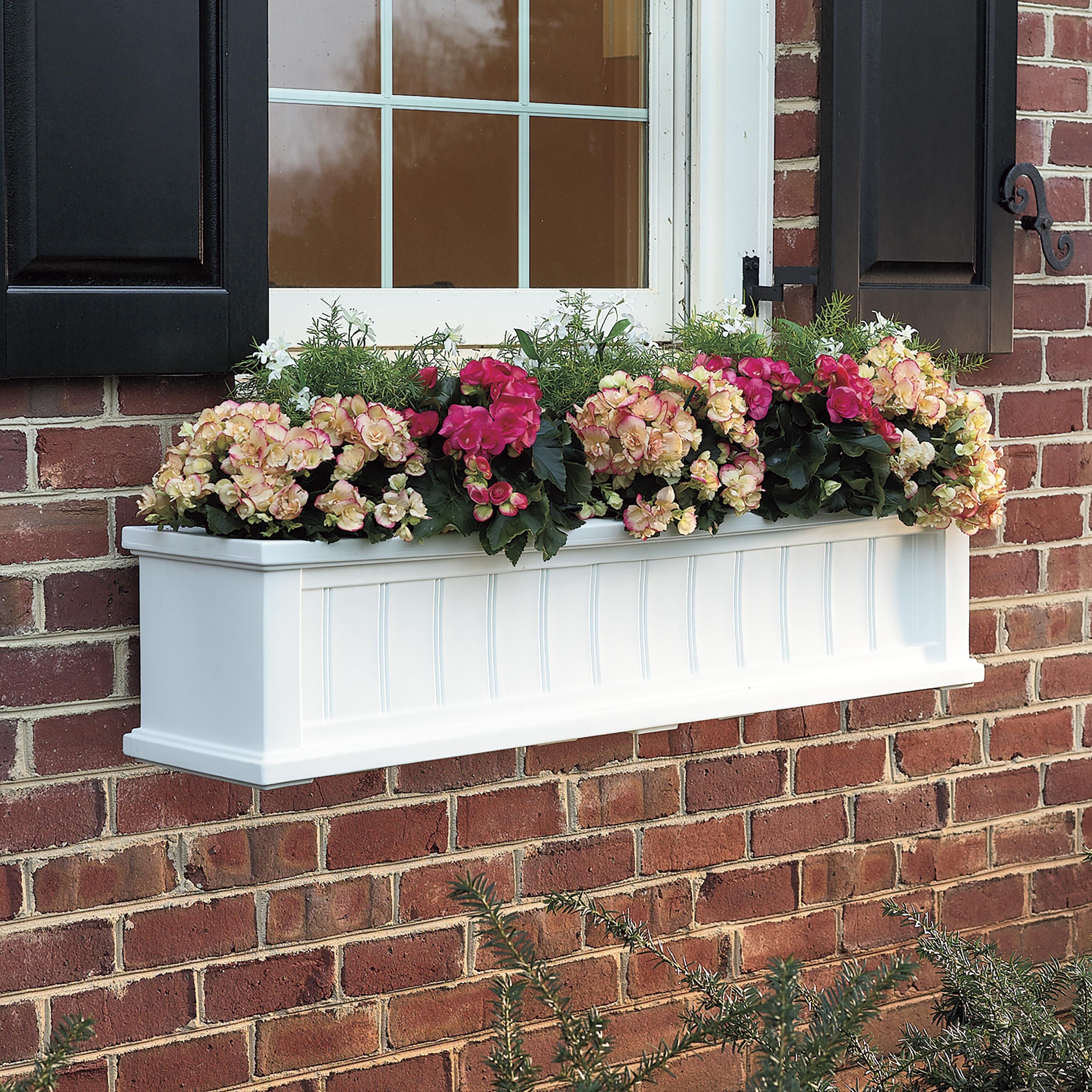 Evergreen Lexington Window Box - Thumbnail 2