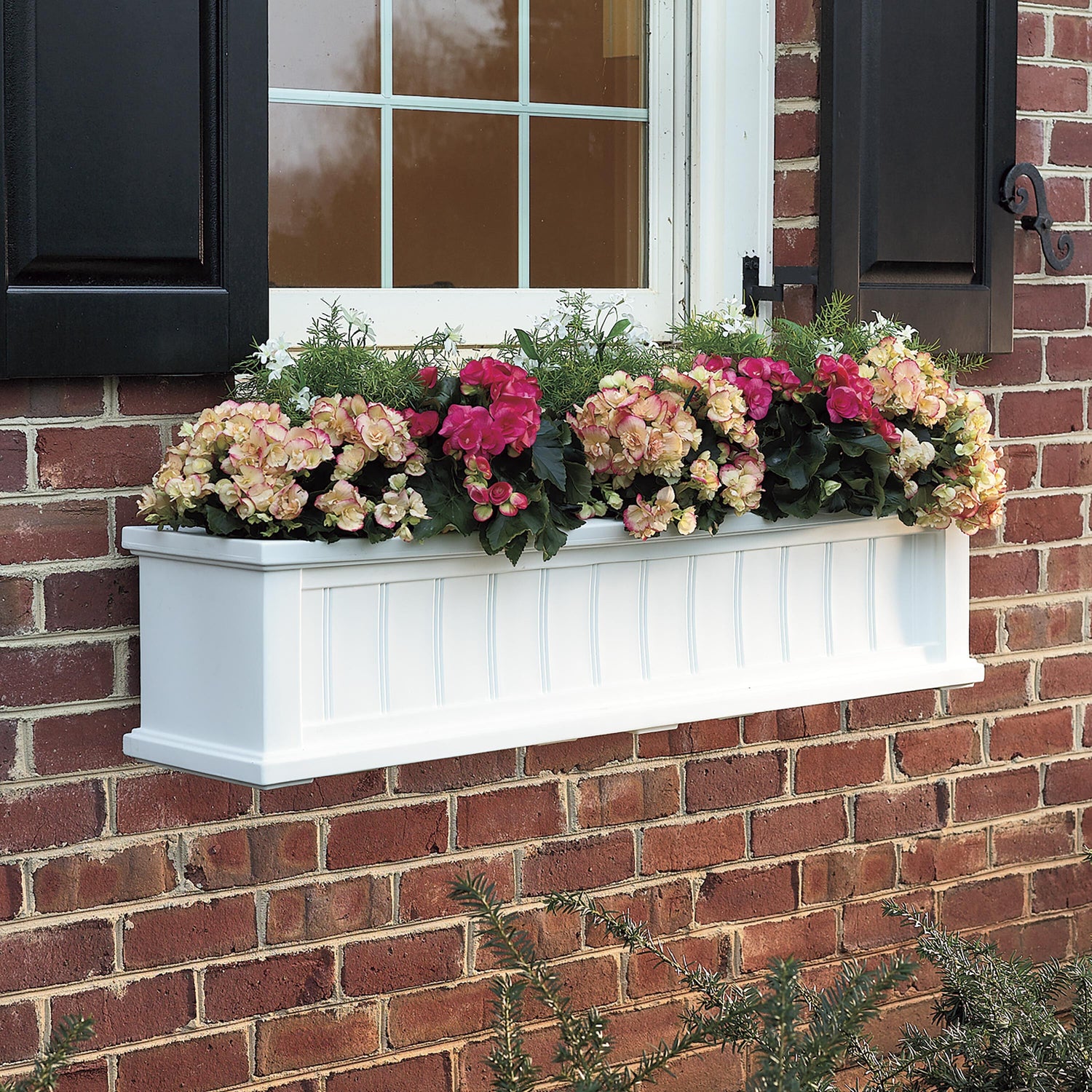 hanging window planter outdoor Mayne - Cape Cod 4' Window Box