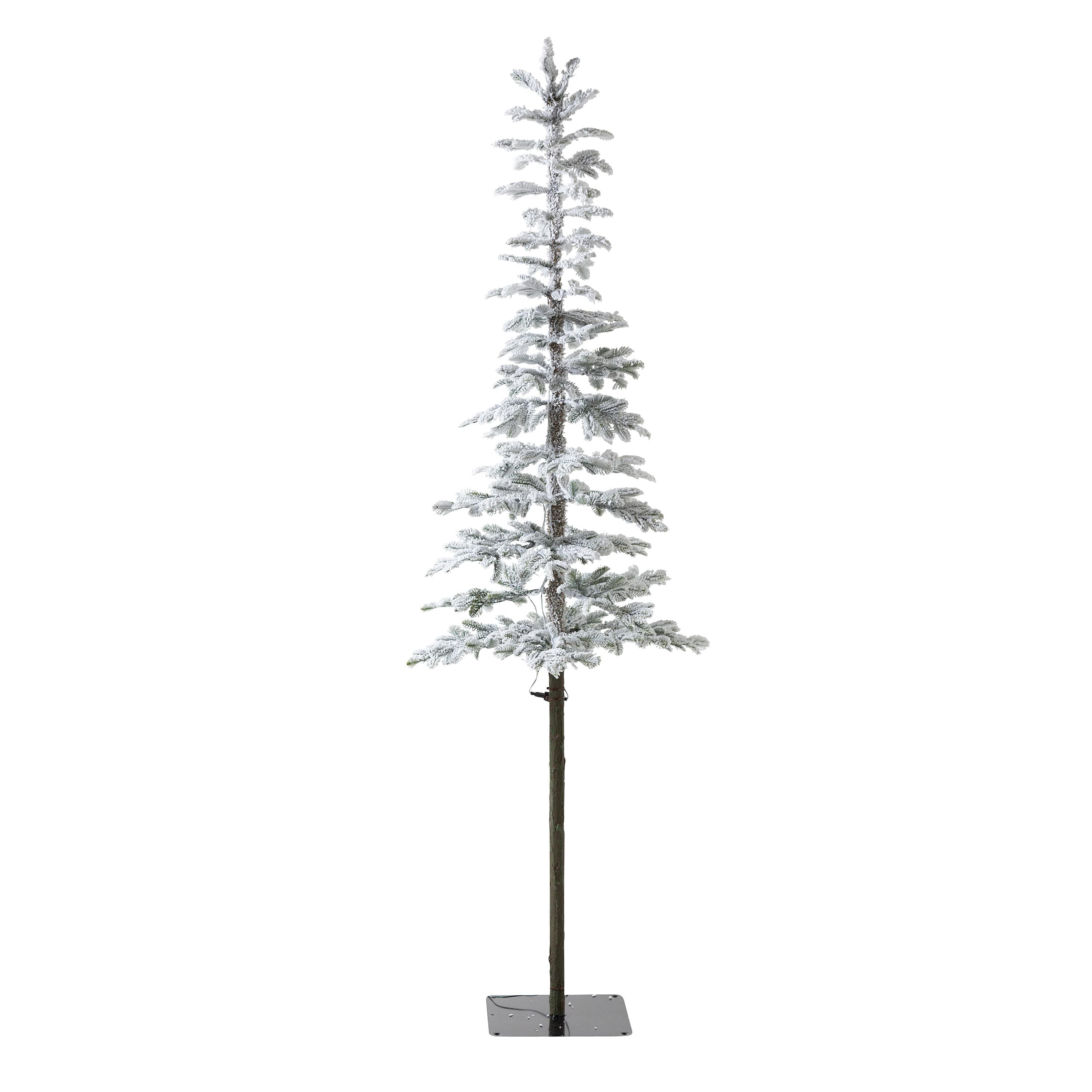 7' Monte Rosa Flocked Alpine Fir Christmas Tree with 200 Warm