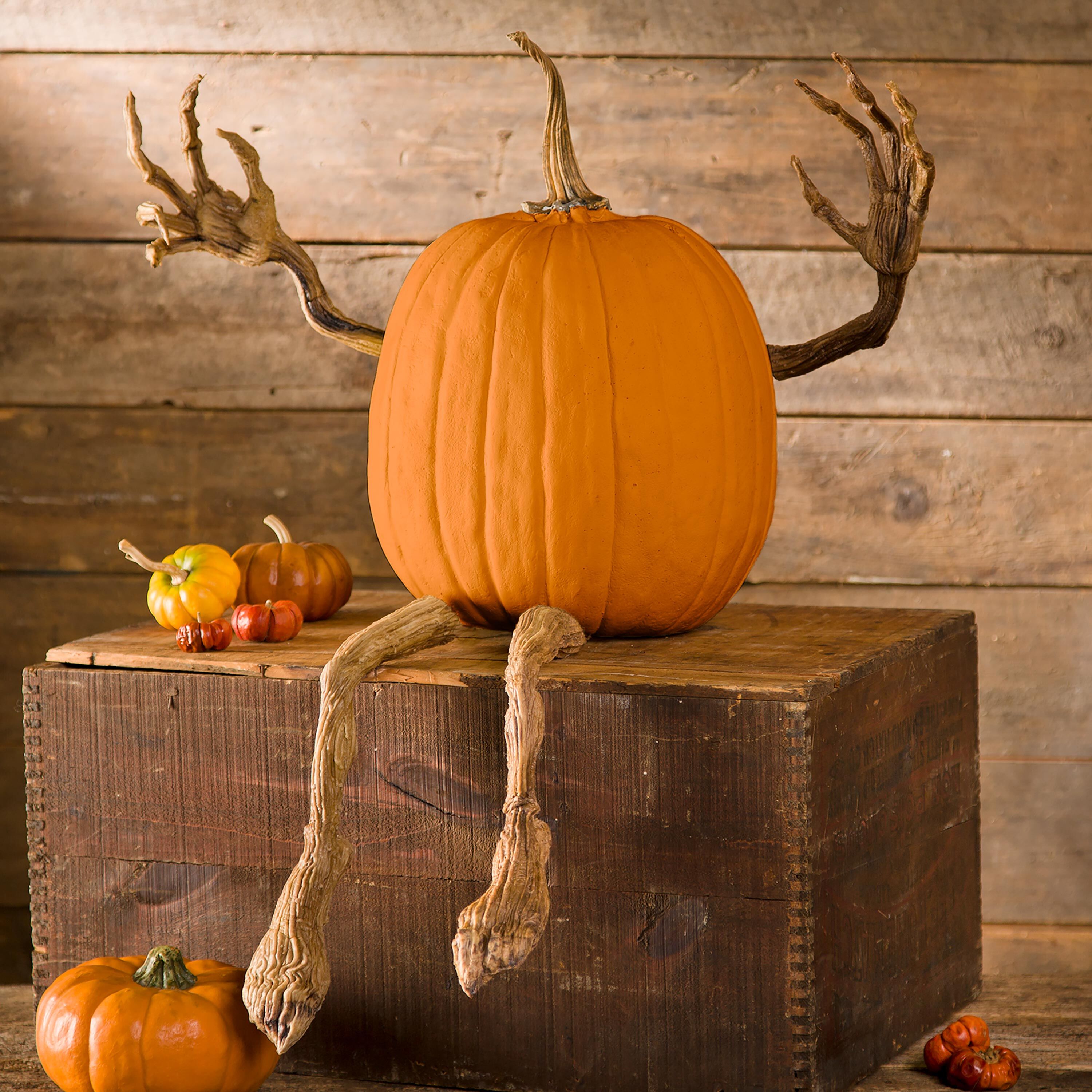 Plow & Hearth Posable Pumpkin Vine Arms and Legs - Thumbnail 2