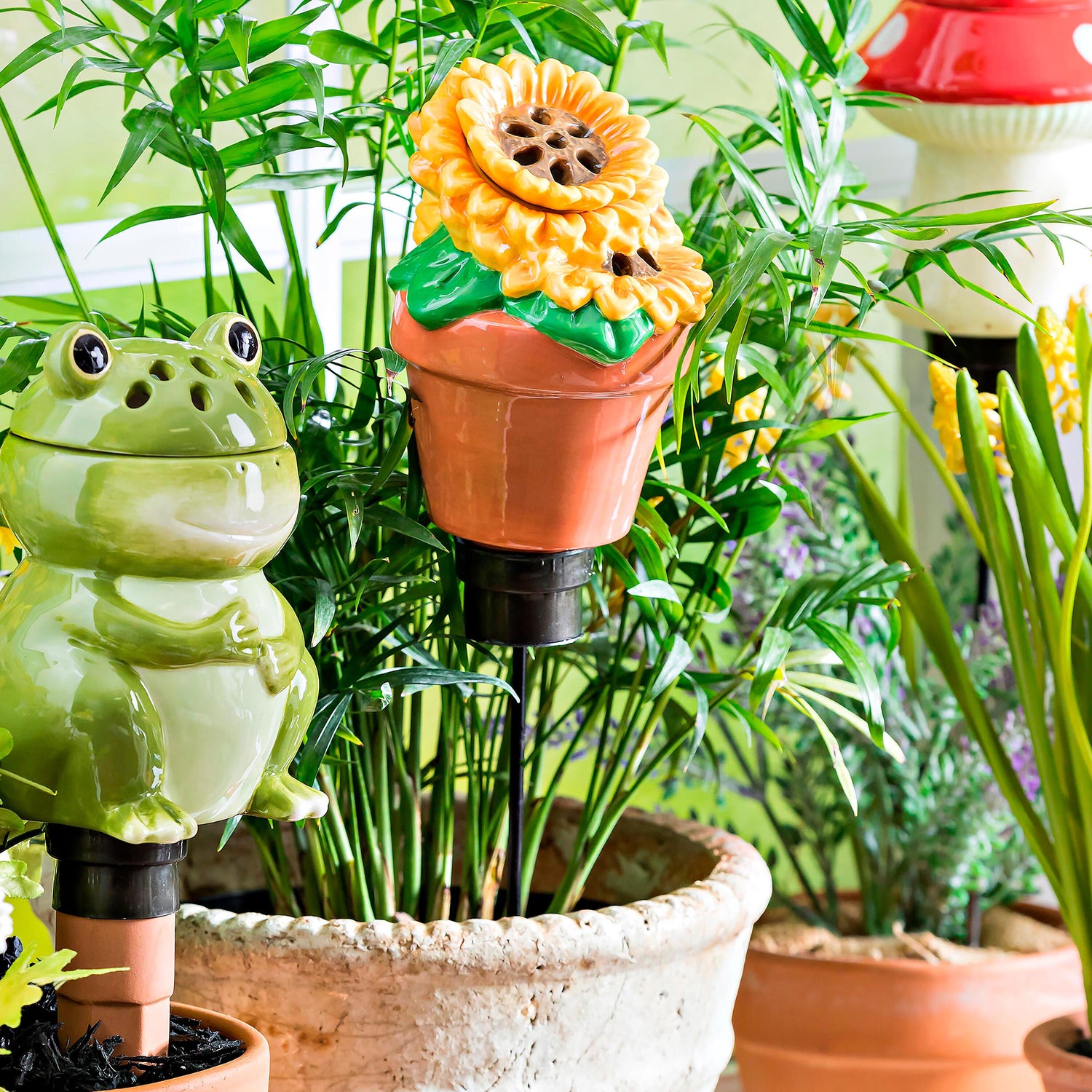 fruit flies in plant pots All-In-One Ceramic Fruit Fly/Fungus Gnat Trap with Watering Globe