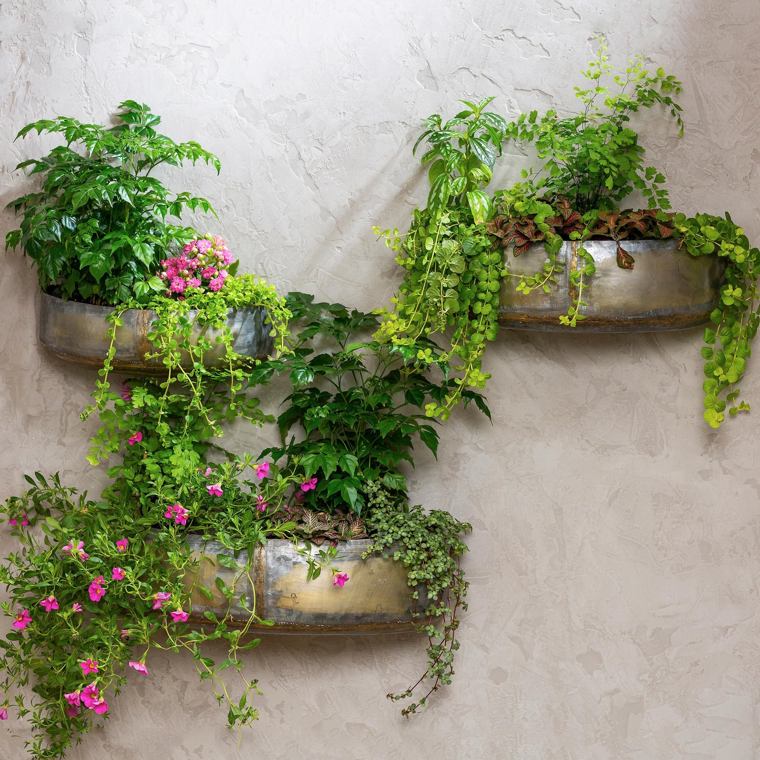 hanging planter set of 3 Metal Planters, Set of 3