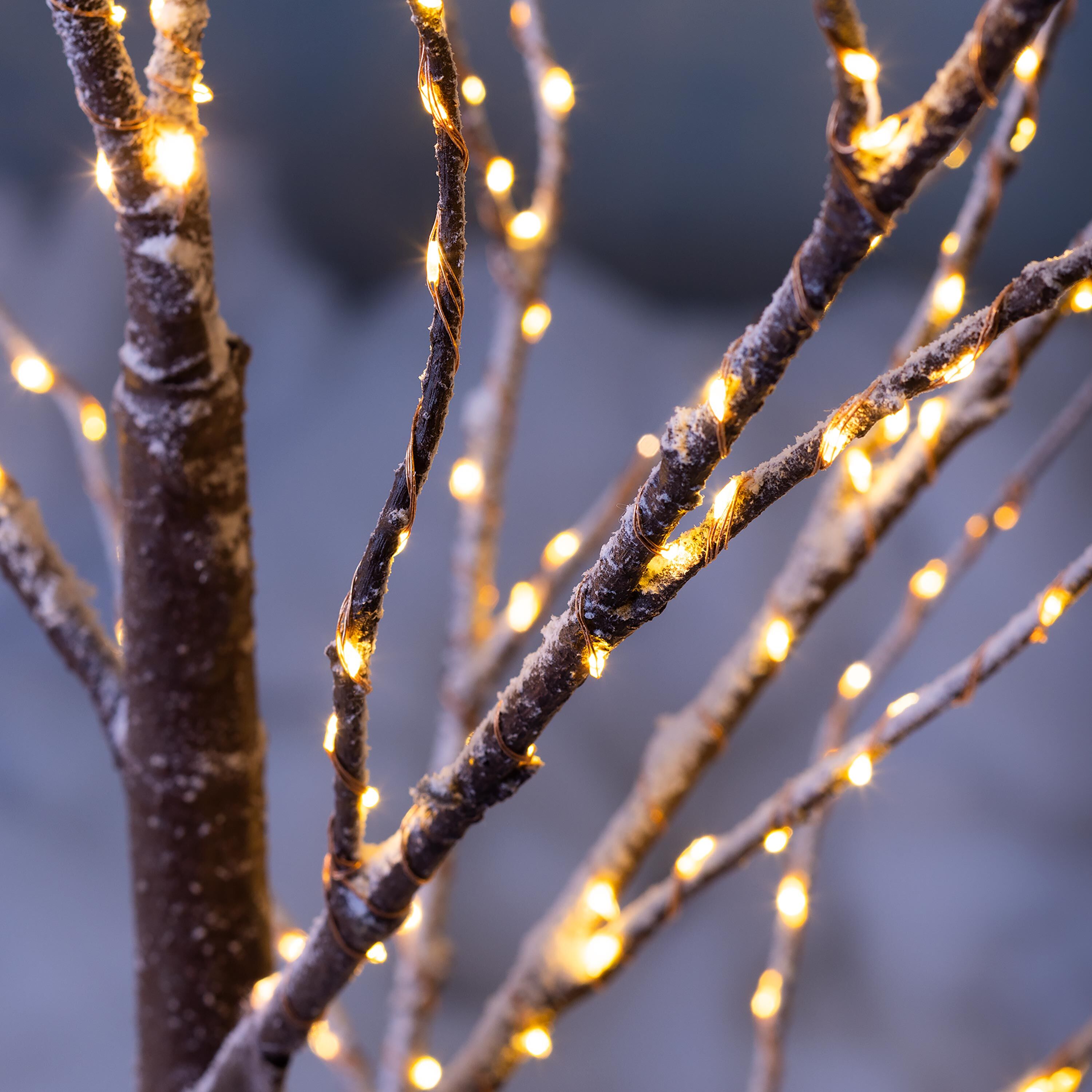 Large Indoor/Outdoor Birch Tree with 600 Warm White Lights – Plow