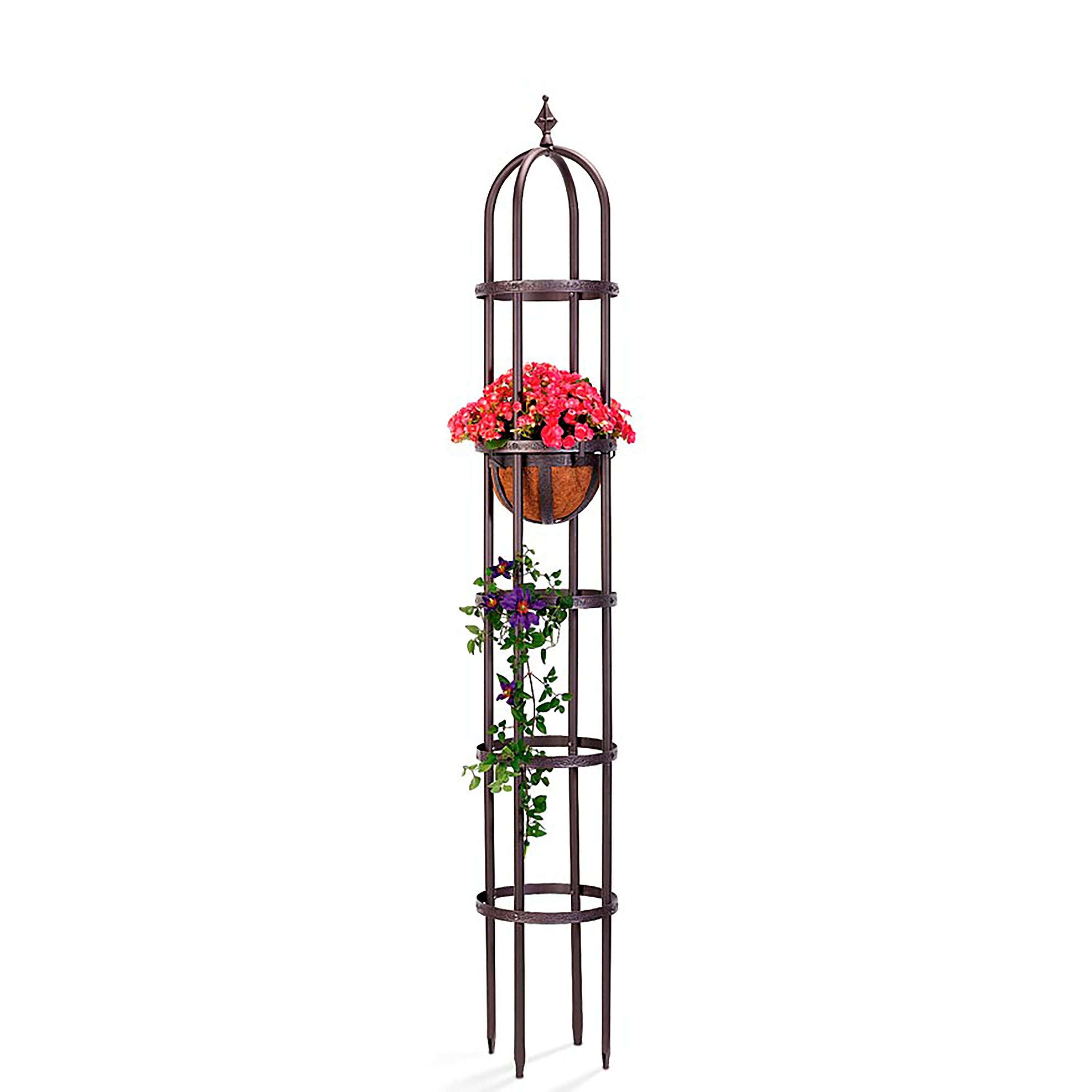 Evergreen Garden Obelisk