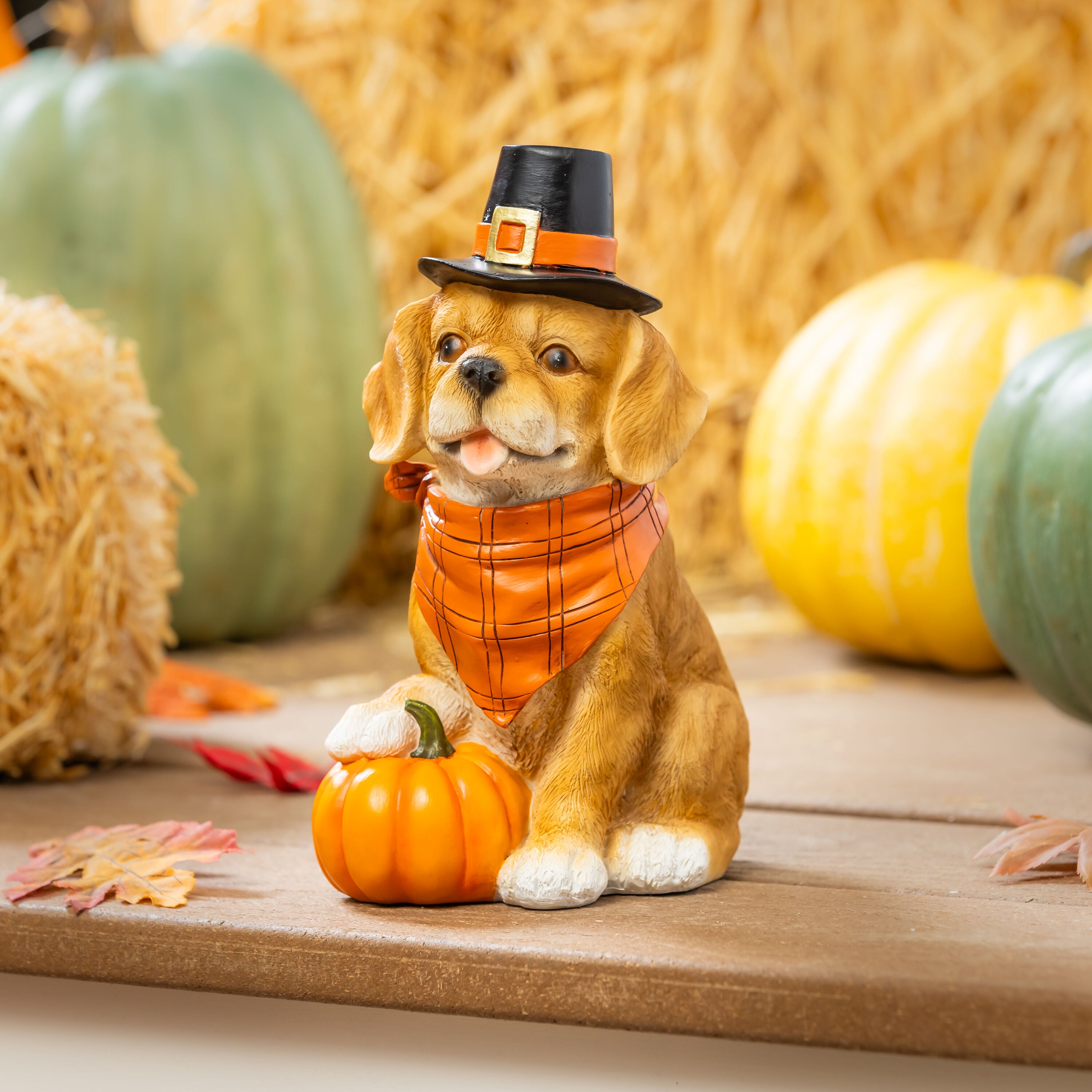 QYマステ10月新作♡Just autumn PET Harvest Blossom, Resin Fall Dog Statue, 9