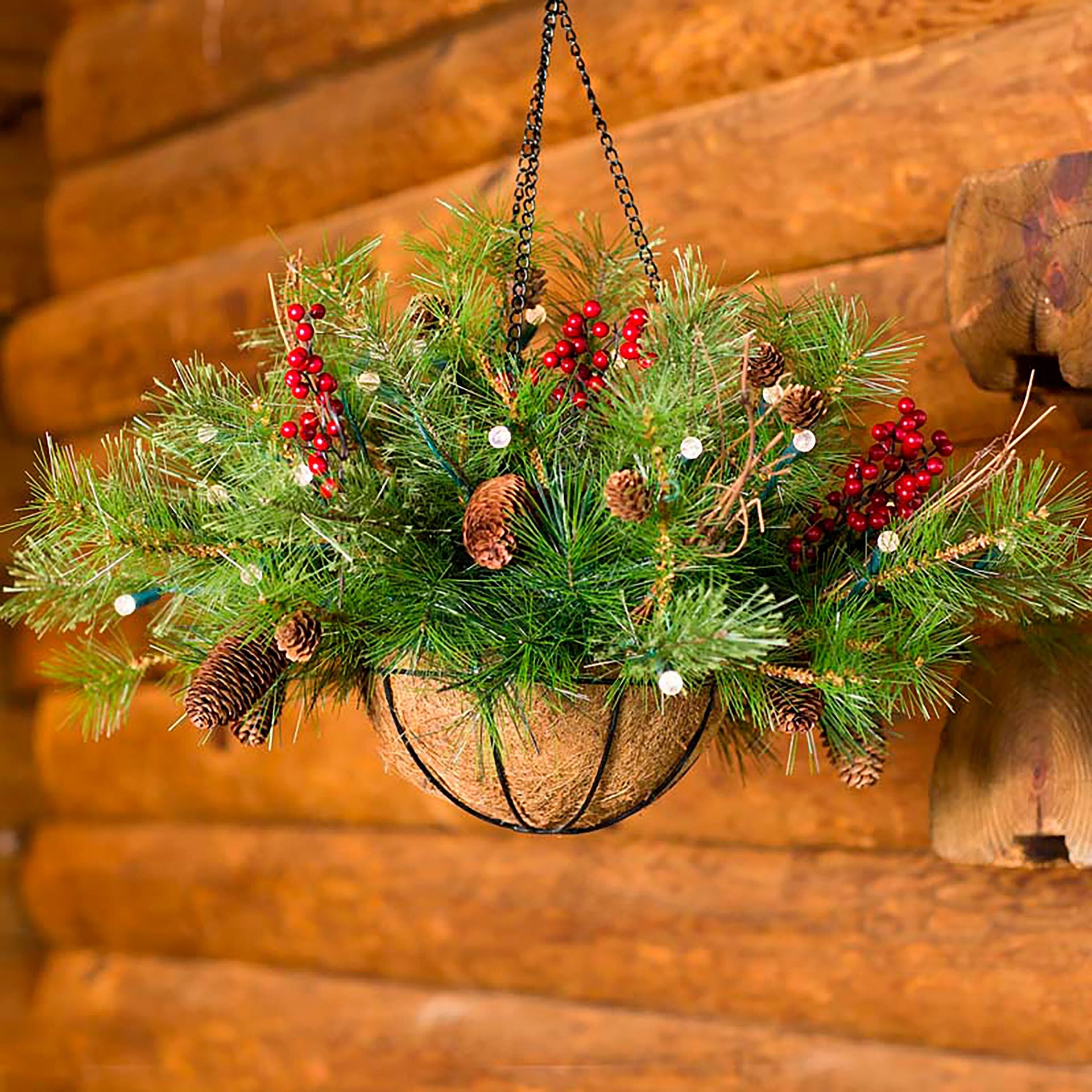 christmas hanging plants Holiday Hanging Basket | Holiday Greenery
