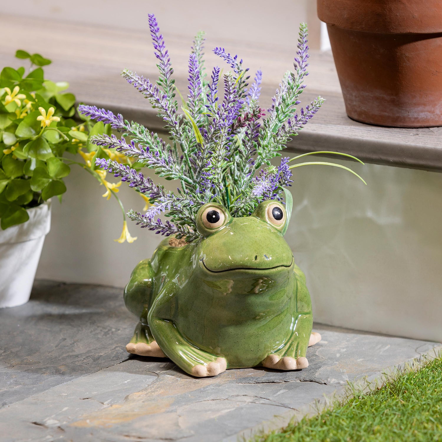 plant with ceramic pot Pollinator Garden Planter, Ceramic Frog