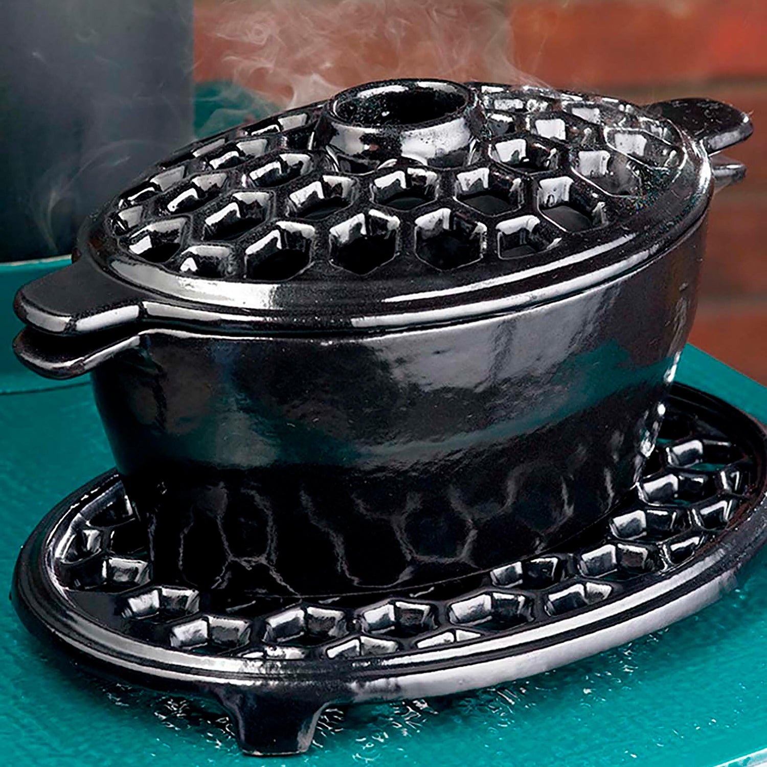 Plow & Hearth Dragon Woodstove Steamer in Cast Iron Plow & Hearth Dragon Woodstove Steamer in Cast Iron