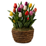 https://asset.productmarketingcloud.com/api/assetstorage/3909_593b874c-d8be-428b-af90-c5ff6fa1cdf4
