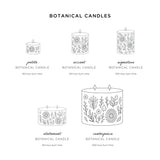 Accent Botanical Candle - Sugared Citrus