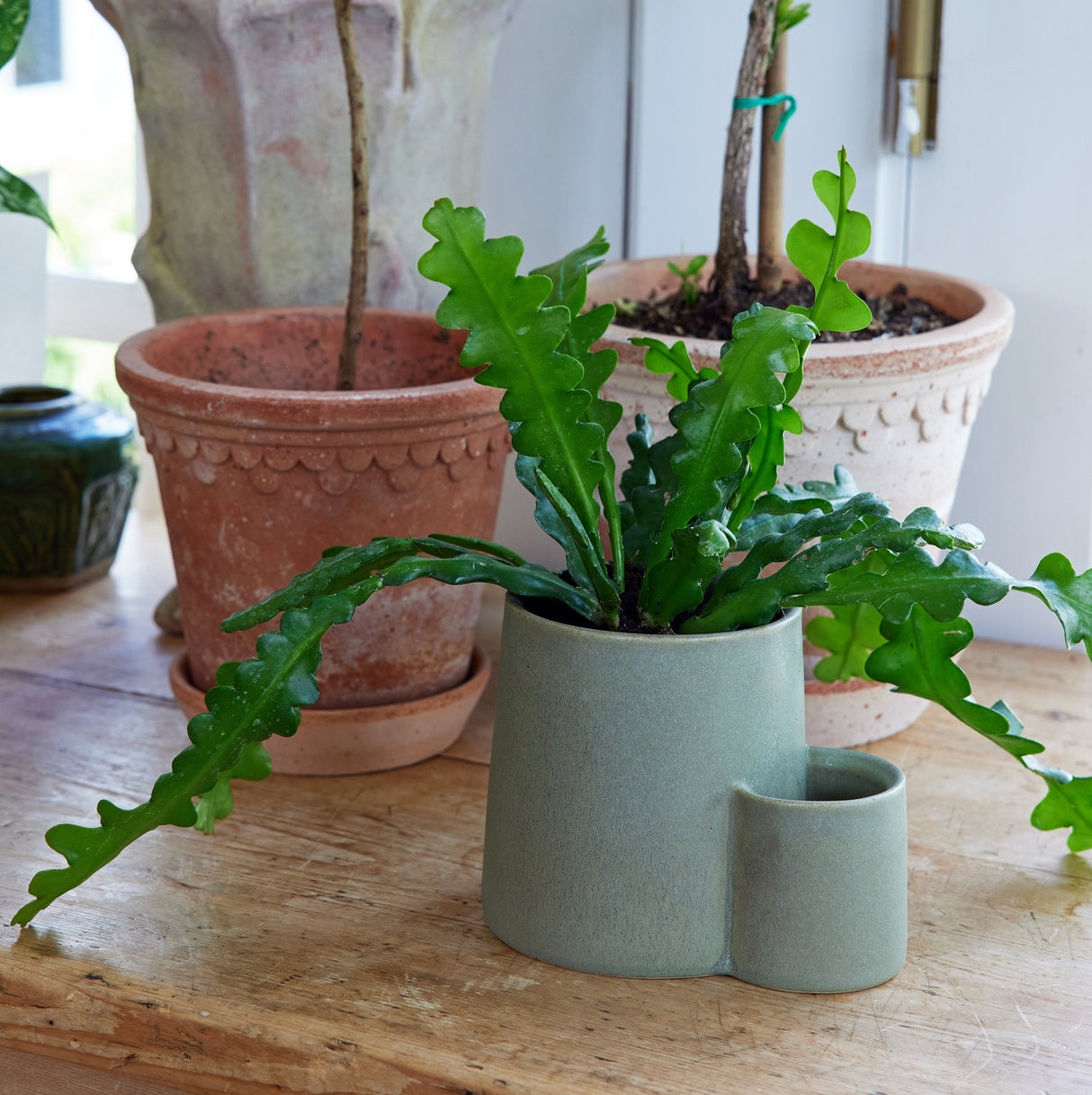 Ember Earth Candle + Planter