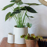 Ember Earth Candle + Planter