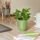 Garden Vibes Candle/Planter 2-in-1