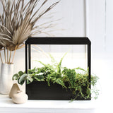 Smart Growhouse