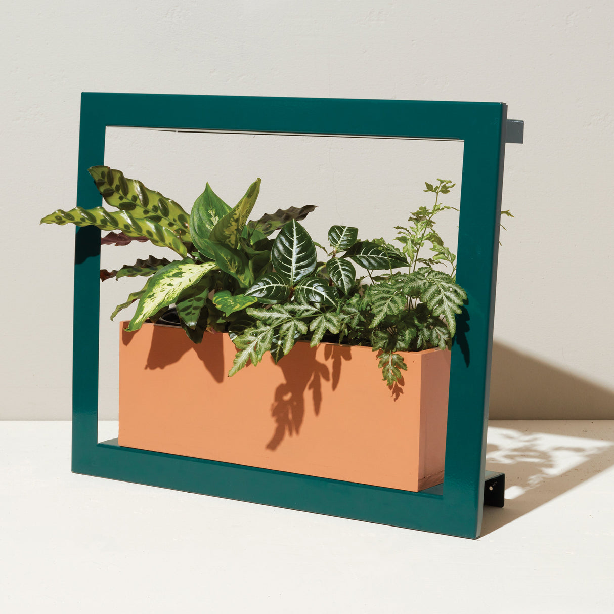 Smart Standard Growframe