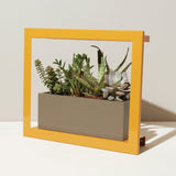 Smart Standard Growframe