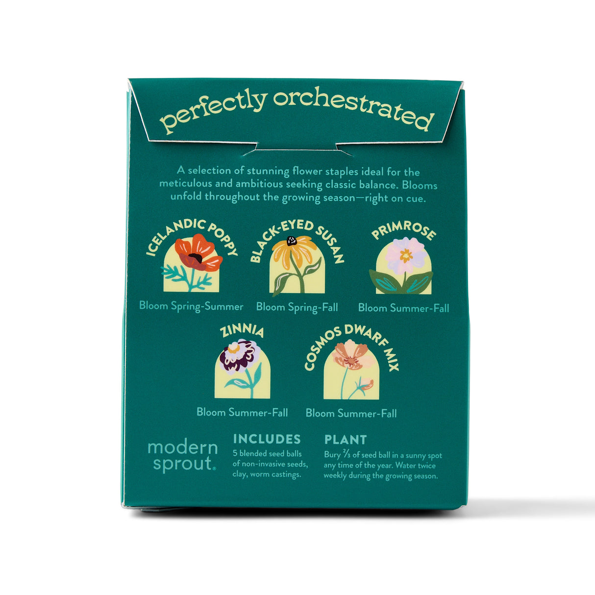 Bespoke Blooms Seed Balls