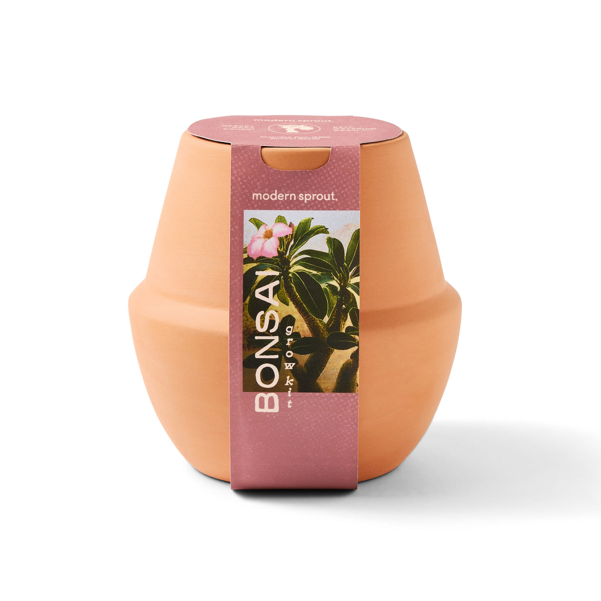 Modern Terracotta Grow Kits