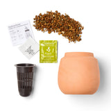 Modern Terracotta Grow Kits
