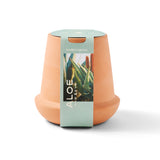 Modern Terracotta Grow Kits