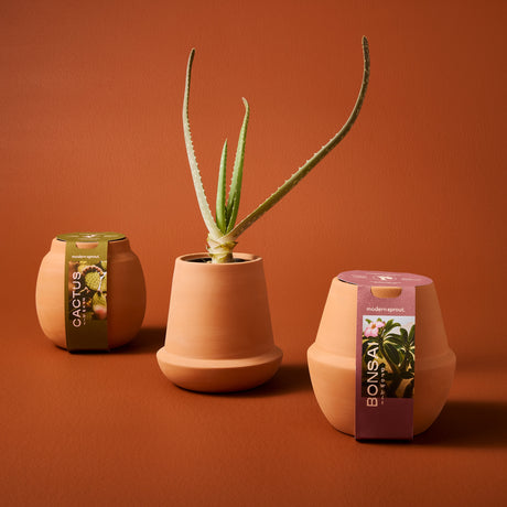 Modern Terracotta Grow Kits