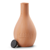 Self-Watering Clay Olla Pot