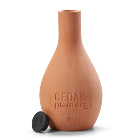 Self-Watering Clay Olla Pot