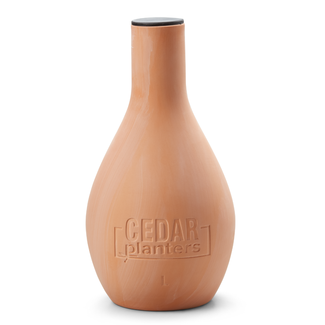 Self-Watering Clay Olla Pot