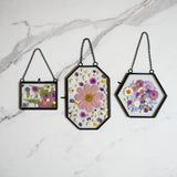 Framed Pressed Flowers Kit