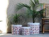Ceramic Fern Patterned Planters