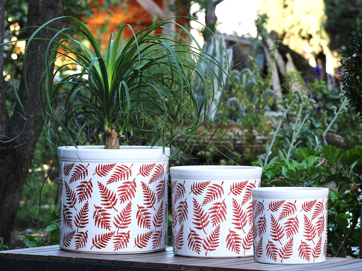 Ceramic Fern Patterned Planters