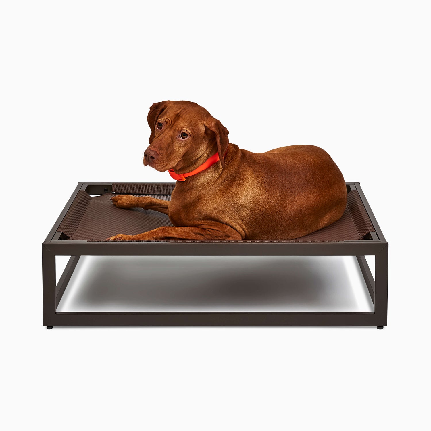 The Up Pup Dog Bed